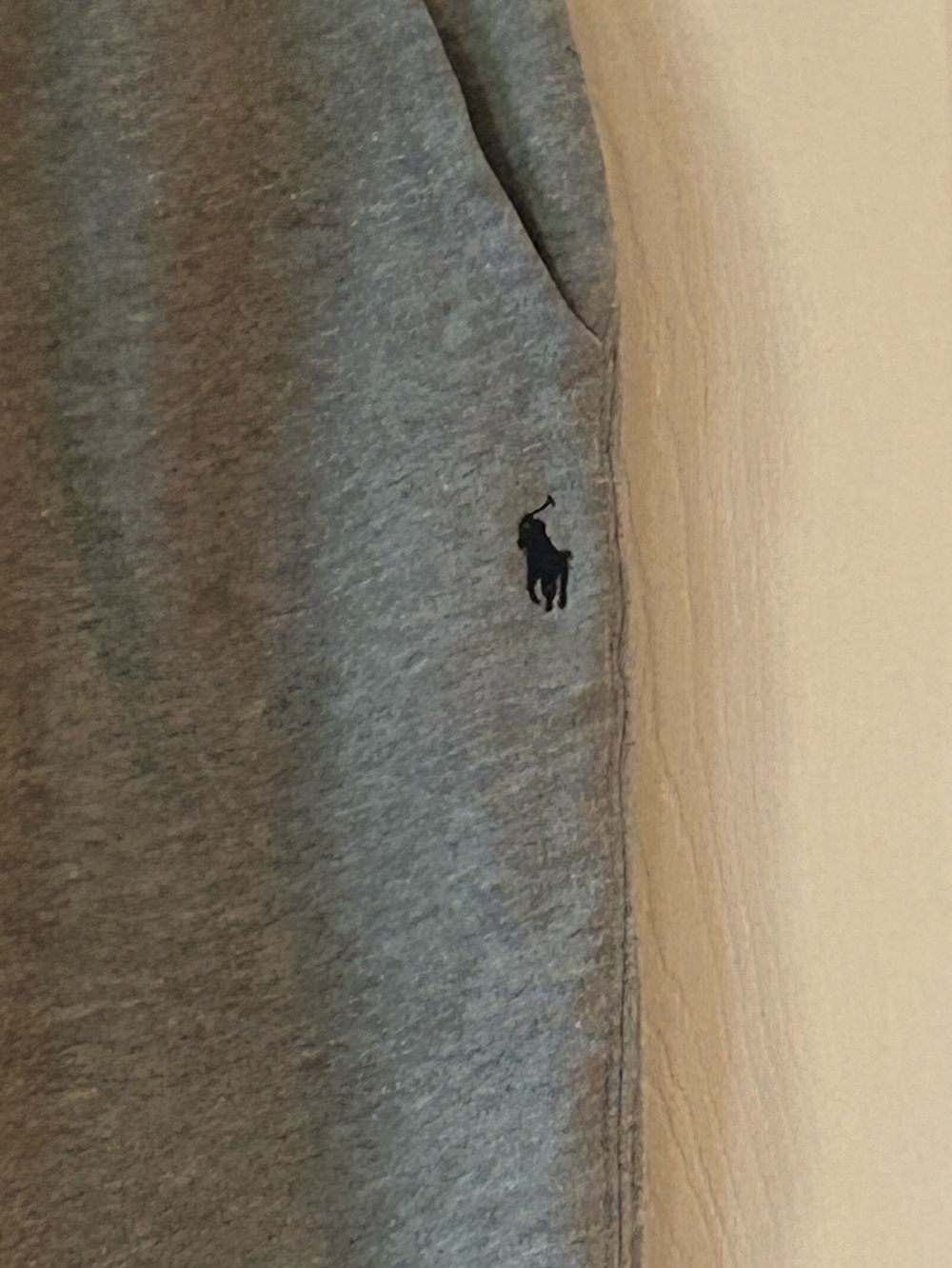 Polo by Ralph Lauren  Boy's  Drawstring Joggers - Picture 2 of 5